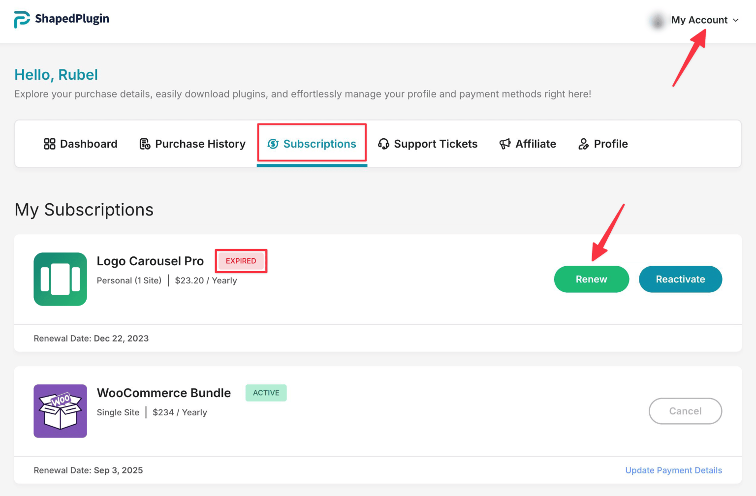 License Renewal – ShapedPlugin Docs